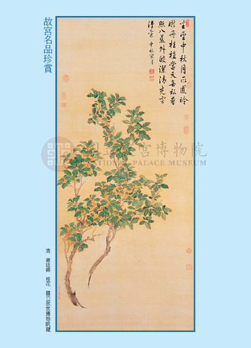 故宮文物月刊246期