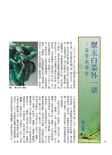 故宮文物月刊251期