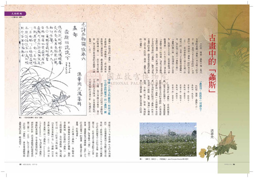 故宮文物月刊321期