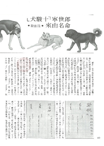故宮文物月刊51期