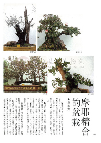 故宮文物月刊25期