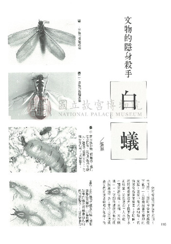 故宮文物月刊136期