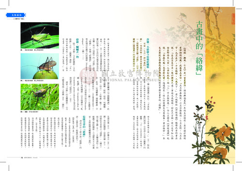 故宮文物月刊346期