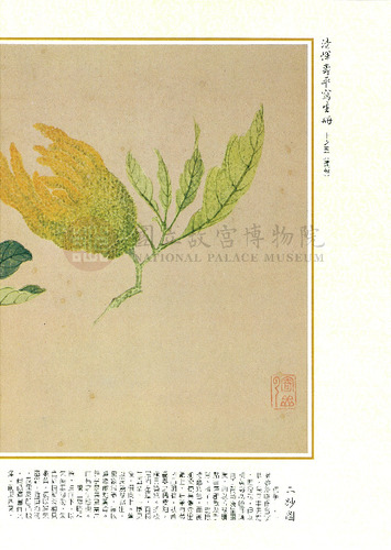 故宮文物月刊9期